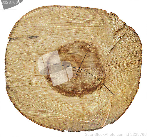 Image of Stump