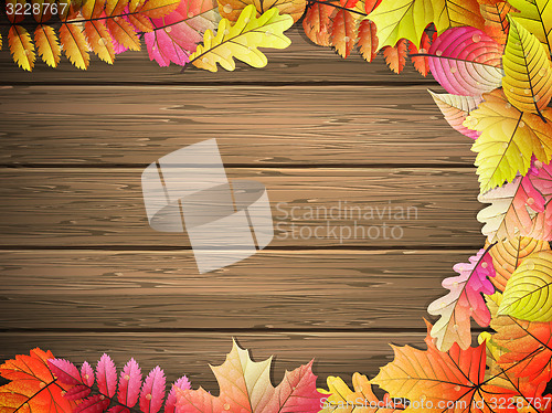 Image of Colored leaves on wooden board. EPS 10