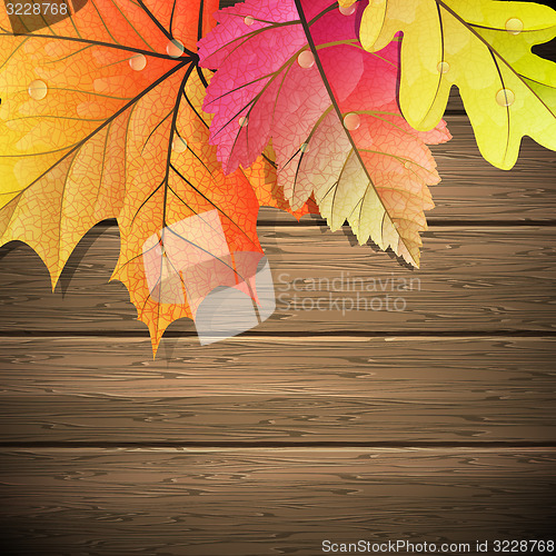 Image of Autumn Leaves over wooden background. EPS 10