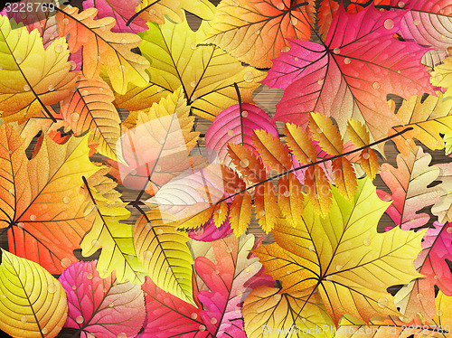 Image of Autumn leaves over wooden background. EPS 10