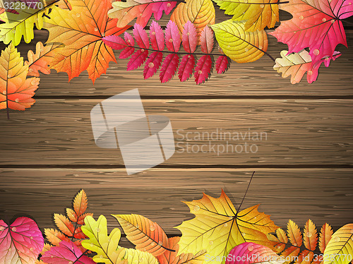 Image of Colored leaves on wooden board. EPS 10