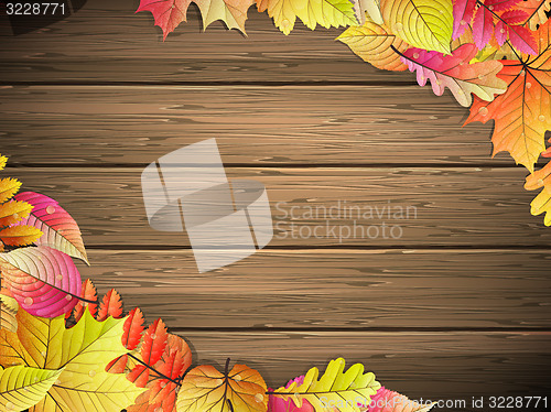 Image of Colored leaves on wooden board. EPS 10