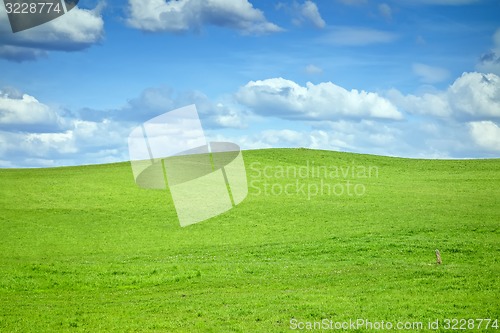 Image of green hill