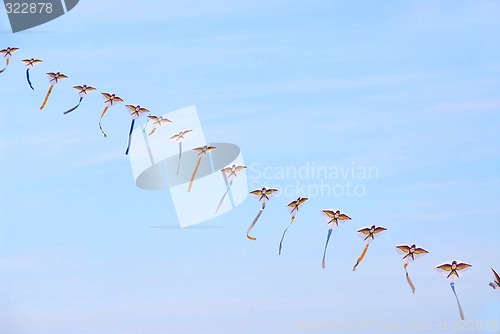 Image of Kites in the sky