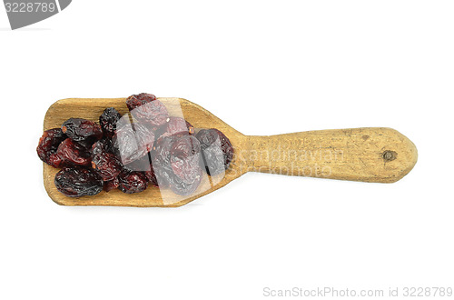 Image of Dried cranberries on shovel