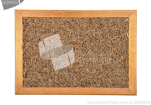 Image of Caraway seeds in frame