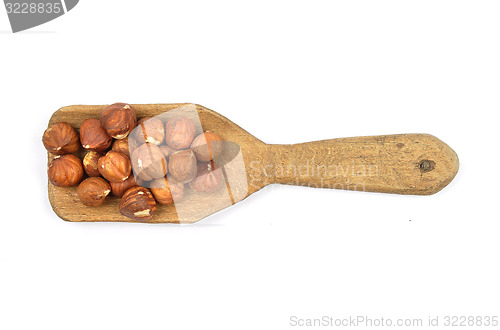 Image of Hazelnuts on shovel