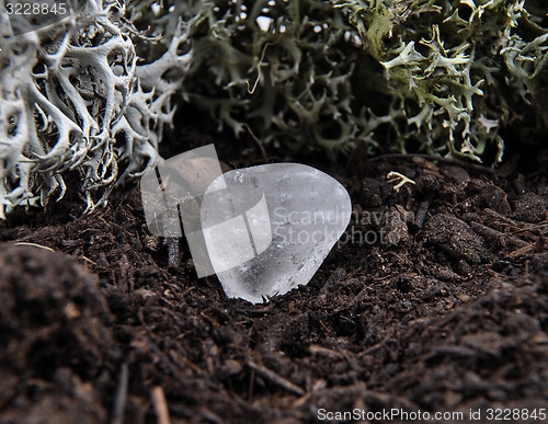 Image of Rock crystal on forest floor