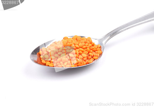 Image of Red lentils on spoon