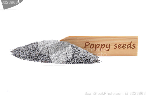 Image of Poppy seeds on shovel