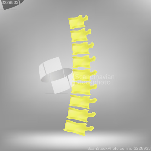 Image of Spine Icon