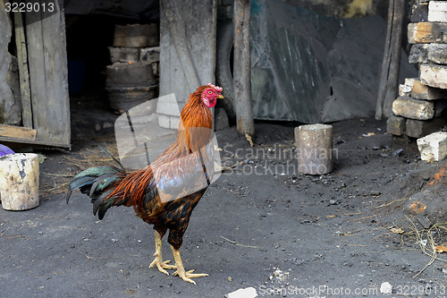 Image of antsirabe, madagascar