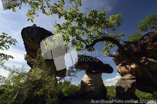 Image of ASIA THAILAND ISAN UBON RATCHATHANI