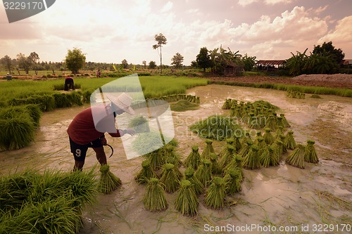 Image of ASIA THAILAND ISAN AMNAT CHAROEN