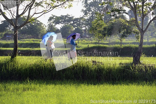 Image of ASIA THAILAND ISAN AMNAT CHAROEN