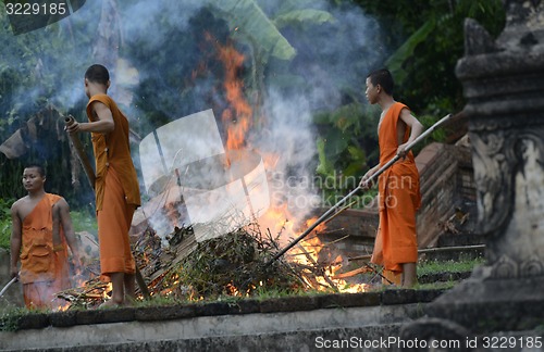 Image of ASIA THAILAND MAE HONG SON 