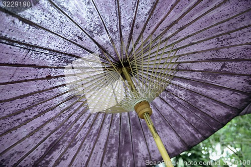 Image of ASIA THAILAND MAE HONG SON PAI