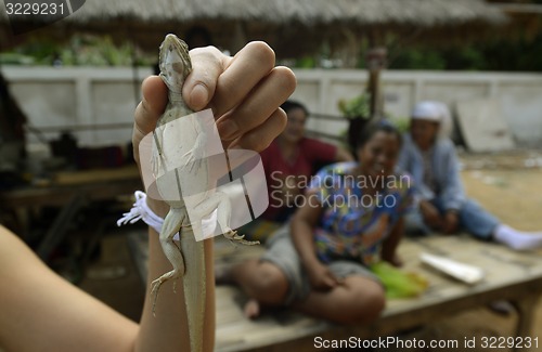 Image of ASIA THAILAND ISAN AMNAT CHAROEN