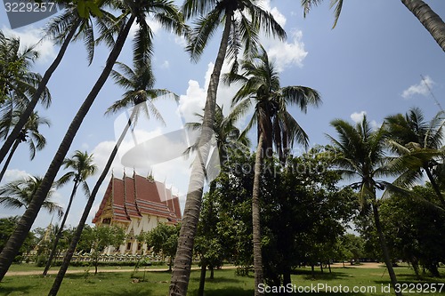 Image of ASIA THAILAND ISAN AMNAT CHAROEN