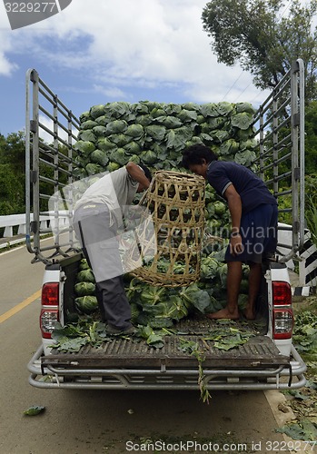 Image of ASIA THAILAND MAE HONG SON 