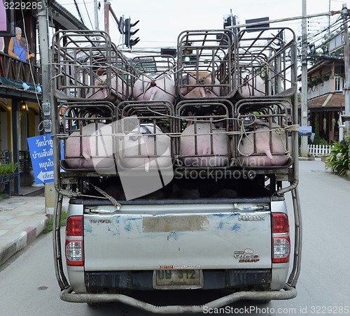 Image of ASIA THAILAND MAE HONG SON PAI