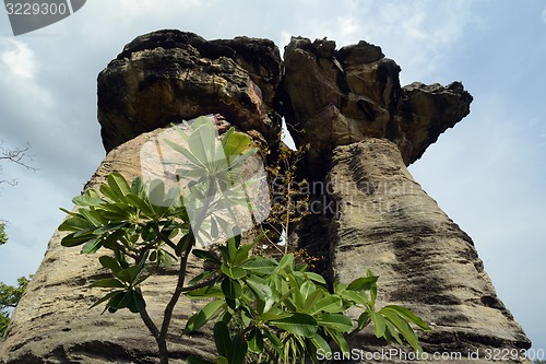 Image of ASIA THAILAND ISAN AMNAT CHAROEN