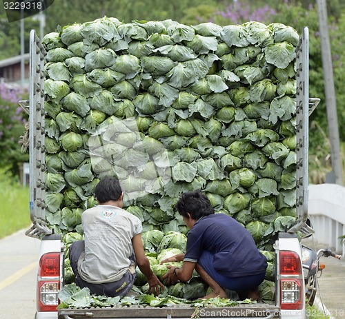 Image of ASIA THAILAND MAE HONG SON 