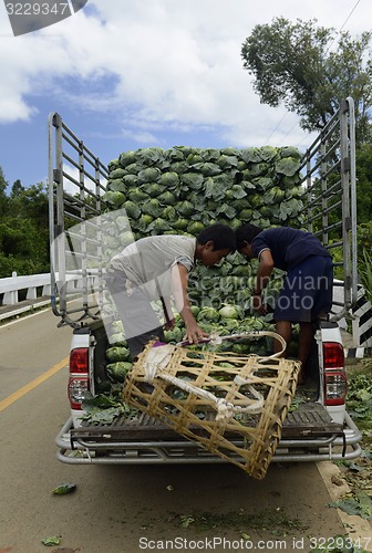 Image of ASIA THAILAND MAE HONG SON 