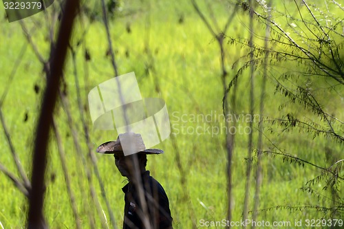 Image of ASIA THAILAND ISAN AMNAT CHAROEN