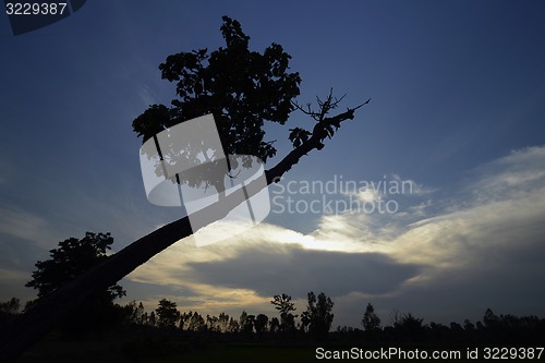 Image of ASIA THAILAND ISAN AMNAT CHAROEN