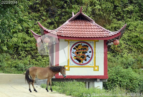 Image of ASIA THAILAND MAE HONG SON 