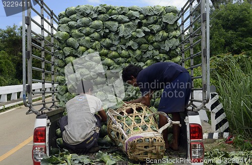 Image of ASIA THAILAND MAE HONG SON 