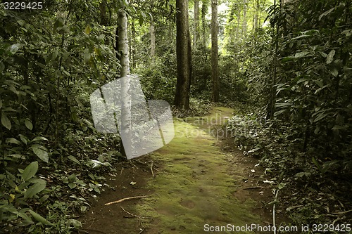 Image of ASIA THAILAND MAE HONG SON SOPPONG