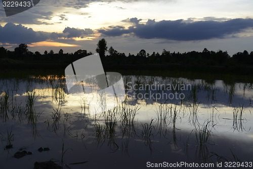Image of ASIA THAILAND ISAN AMNAT CHAROEN