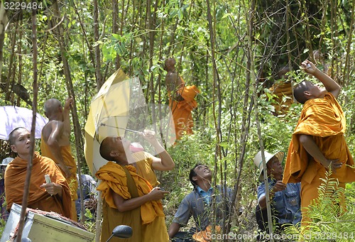 Image of ASIA THAILAND ISAN AMNAT CHAROEN