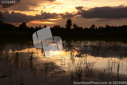 Image of ASIA THAILAND ISAN AMNAT CHAROEN