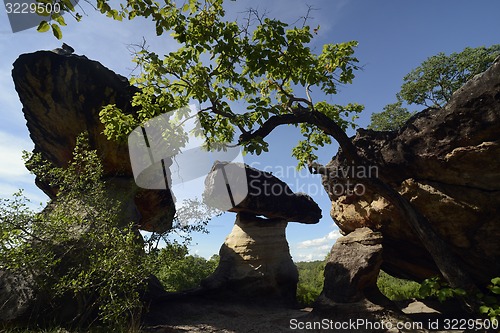 Image of ASIA THAILAND ISAN UBON RATCHATHANI