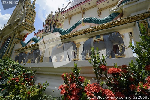 Image of ASIA THAILAND ISAN AMNAT CHAROEN