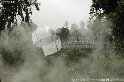 Image of ASIA THAILAND ISAN AMNAT CHAROEN