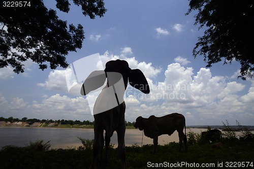 Image of ASIA THAILAND ISAN AMNAT CHAROEN