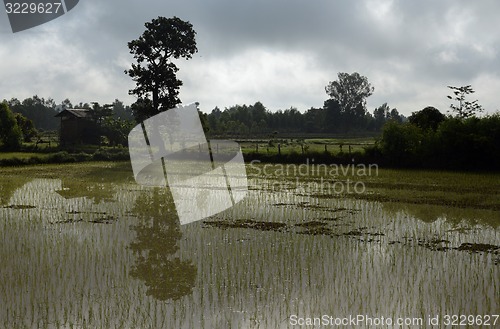 Image of ASIA THAILAND ISAN AMNAT CHAROEN