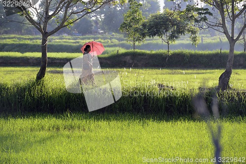 Image of ASIA THAILAND ISAN AMNAT CHAROEN