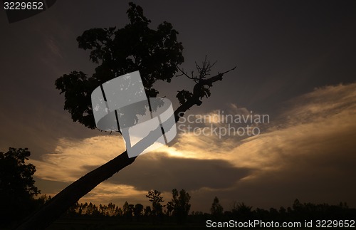 Image of ASIA THAILAND ISAN AMNAT CHAROEN