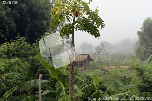 Image of ASIA THAILAND ISAN AMNAT CHAROEN