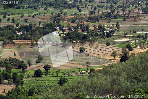 Image of ASIA THAILAND ISAN ROI ET