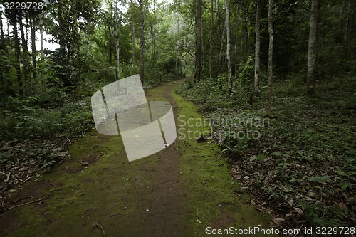 Image of ASIA THAILAND MAE HONG SON SOPPONG