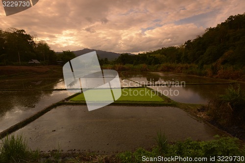 Image of ASIA THAILAND MAE HONG SON 