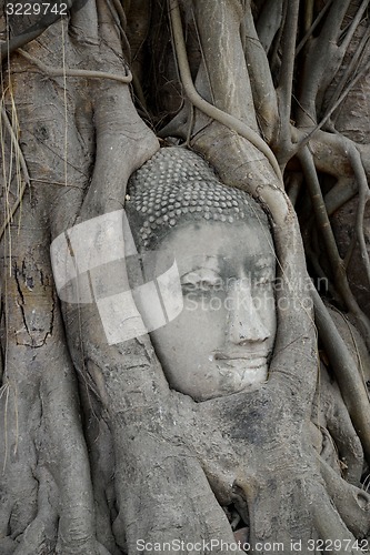 Image of THAILAND AYUTTHAYA