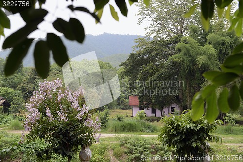 Image of ASIA THAILAND MAE HONG SON PAI