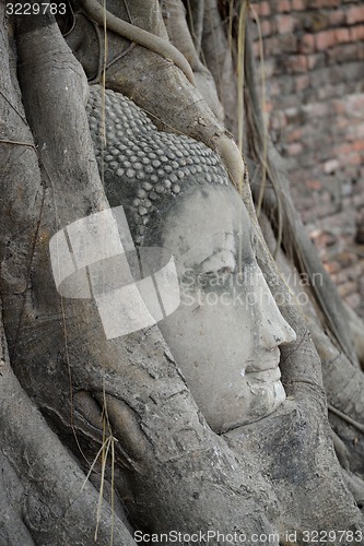 Image of THAILAND AYUTTHAYA